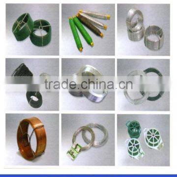 Electro Galvanized Zinc Small Coil Iron Wire