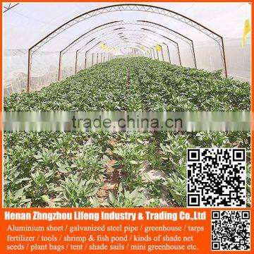 Chinese Factory pe Greenhouse Anti Insect Proof Net , Plastic Vegetable Anti Insect Net , Nylon Agricultural Anti Insect Net photo-5