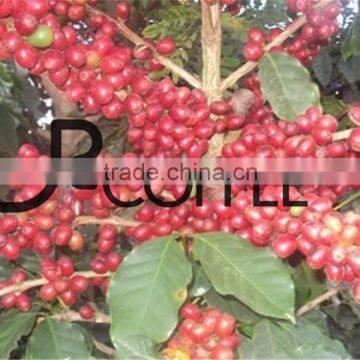 Spray Dried Instant Coffee Instant Coffee Bulk Packing