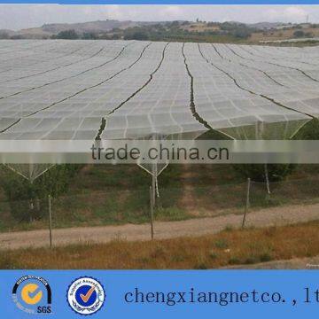 quality HDPE bee net/ bird net/ anti hail net