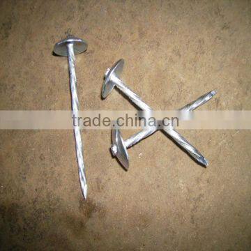 good quality galvanized umbrella head roofing nails(factory price)