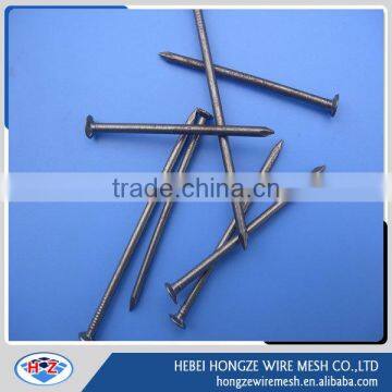 Iron Nail/ Common Wire Nail/Common Iron Nails