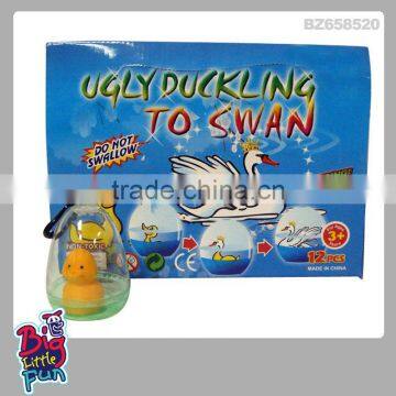 Growing toy swan,toy grow in water