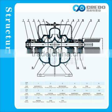 Electric Water Pump Price for Malaysia Market photo-6