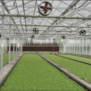 Multi-Span Commercial Agricultural Greenhouse sales