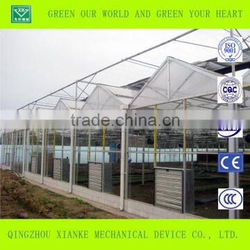 Galvanized Steel Frame 8mm/10mmSingle-span/multi-span Polycarbonate Greenhouse photo-3
