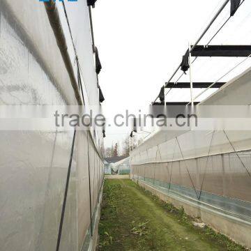 Tomato Hydroponic Greenhouse
