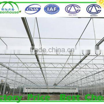 Large Size and Multi Span Agricultural Glass Greenhouse photo-6
