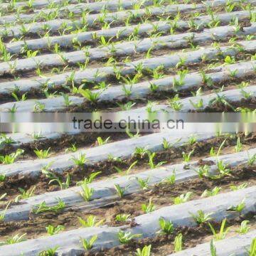 PLA mulching film