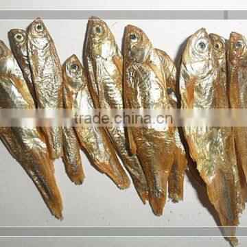 Dry Fishes For Poultry Feed