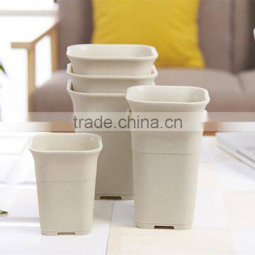 Plastic Tall Fleshiness Square Flower Pot photo-6