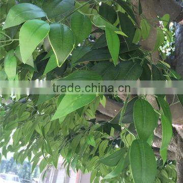 SJ2001007 Factory Make Huge Giant Large Decorative Fake Outdoor Artificial Banyan Ficus Tree for Decoration photo-4