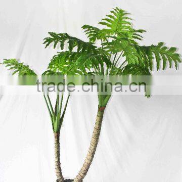 Oramental Green Bonsais photo-4