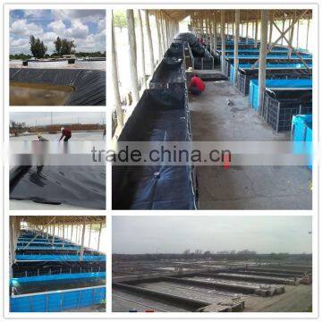 Fish farm pond liner leakproof film impermeable HDPE geomembrane