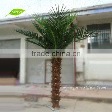 GNW APM023 Wholesale Cheapest Indoor And Outdoor Fack Decoration Palm Tree