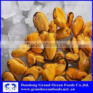 Свежезамороженная варёная мясо мидий photo-2