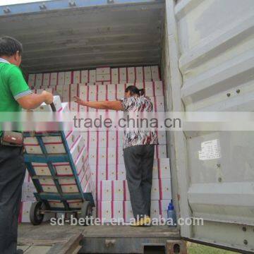 Magic Making Dry Yeast,granulated Ginger Tea,instant Dry Yeast Quality photo-4