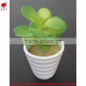 Potted Artificial Mini Succulents photo-2