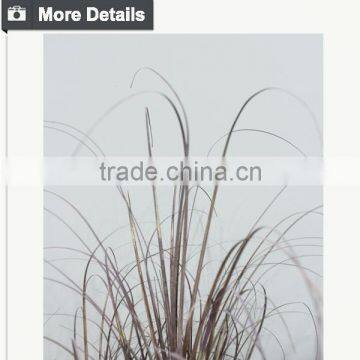 High Quality Decorative Artificial Wheat Grass Artificial Grass in Pot Garden Decorative Grass photo-3