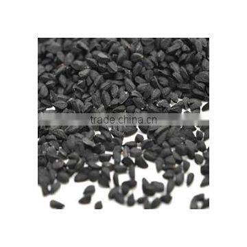 Babchi Seeds photo-3