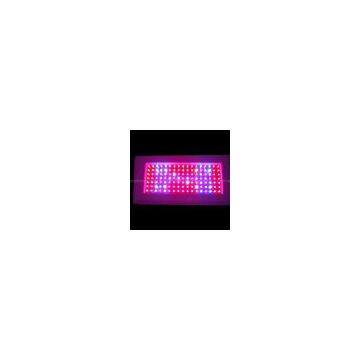 LED grwo light