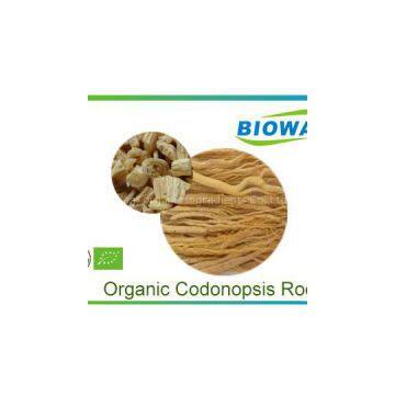 Organic Codonopsis Root