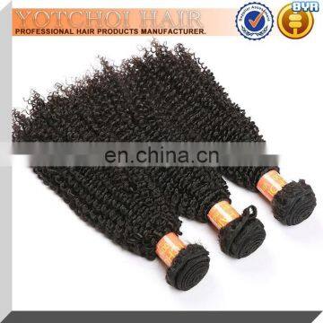 South Africa Hair Styles Virgin Brazilian Afro Kinky Curly Hair photo-2