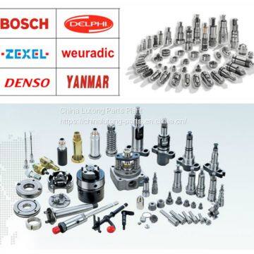 Citroen Nozzle for TOP Fuel Supply System-- Auto Spray Nozzles