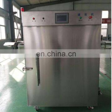 New design liquid nitrogen Iqf freezing machine with factory price on alibaba