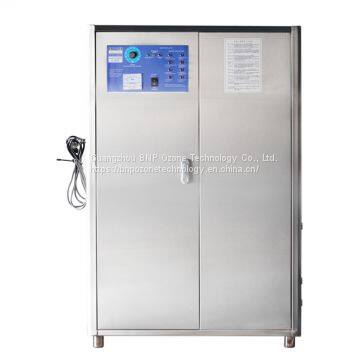 BNP Ozonizer SOZ-YW-40G ~200G ozone generator for swimming pool & Waster Water Treatment