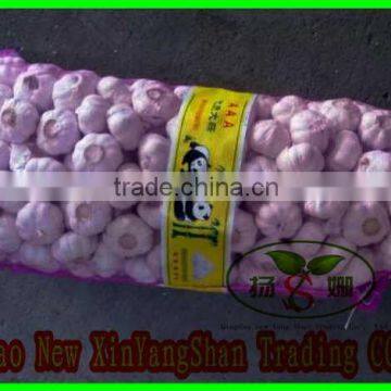 Fresh Chinese Jinxiang Garlic Price Per Ton Packing In Mesh Bag