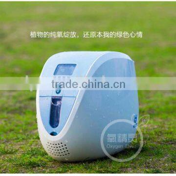 Battery Portable Oxygen Concentrator 1L 3L 5L Quality Choice photo-5