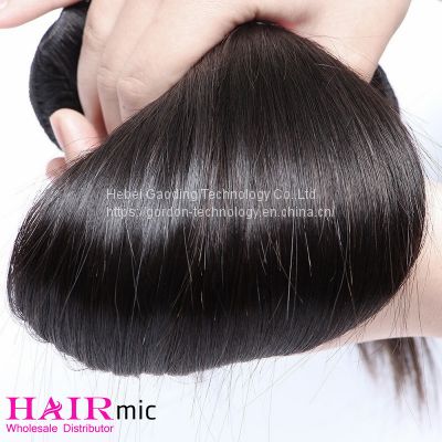 Natrual Color Long Straight Human Hair Bundle with Wholesale Price