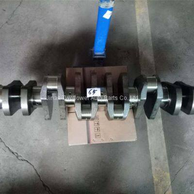 61800020021 crankshaft