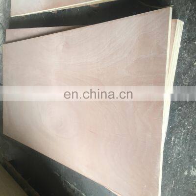 Commercial Okume Plywood BB/CC 18mm photo-5