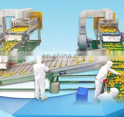 Automatic Industrial Complete Pineapple Juice Production Line photo-3
