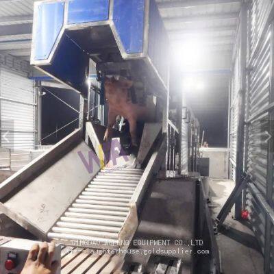 Pig Abattoir Equipment Manfacurer Three Points Electric Stunning Conveyor For Hog Slaughter House