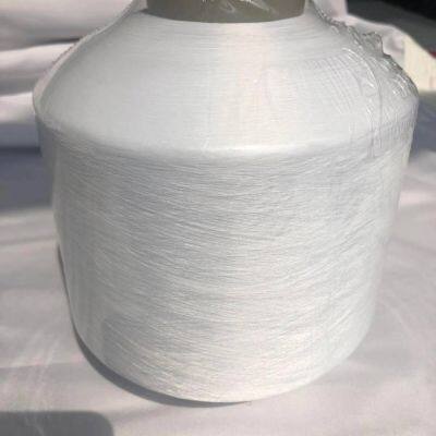 100% POLYESTER YARN FDY 100D/600TPM For WARP YARN photo-2