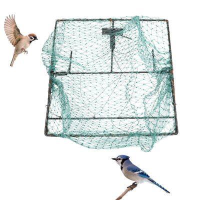 Bird Nets Humane Traps Sparrow Bird Pigeon Quail Humane Live Catching Bird Cage Size 50x60cm