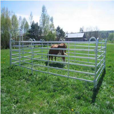 Ranch-Style Galvanized Cattle Panels Ideal for Rotational Grazing Systems