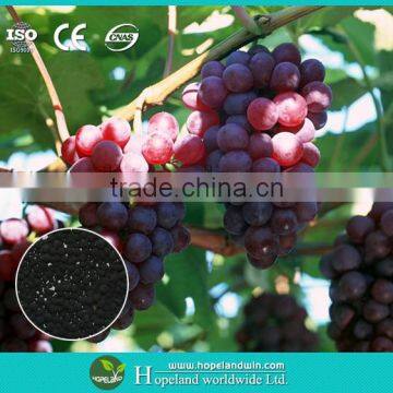 Pure natural biomass soil conditioner silicon magnesium fertilizer