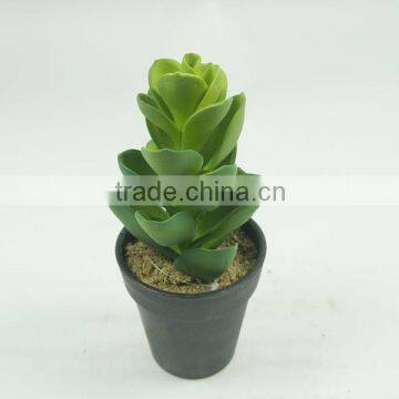 2015 Best selling bonsai artificial succulents plants