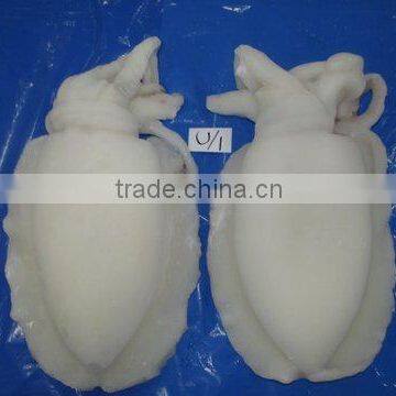 FROZEN CUTTLEFISH WHOLE CLEANED I F photo-3