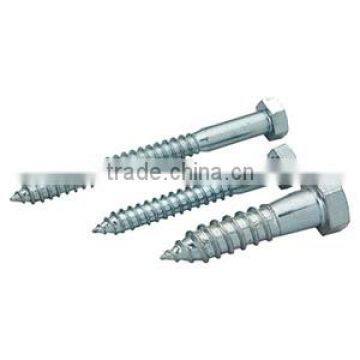 hex socket tapping stainless steel screw with high quality