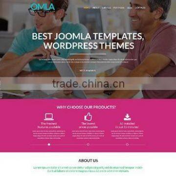 Web Designer photo-4