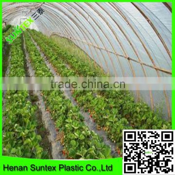 high quality factory produced strawberry greenhouse film/plastic thin film/blow molding film