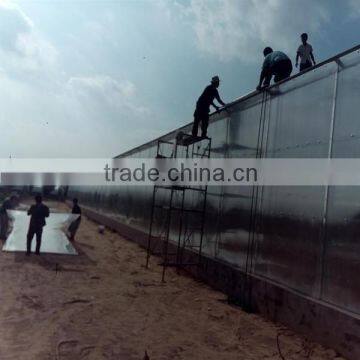 plastic sheet greenhouse cover for sale