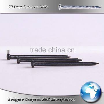 Supply Cheap Price Black Finished Concrete Nails for Sale