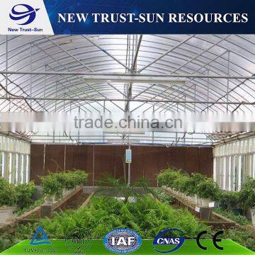 Cheap Chinese tunnel PVC/PE greenhouse for sale