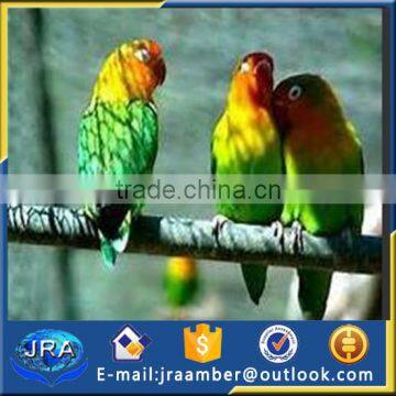 bird aviary/zoo aviaries/nets bird/bird netting